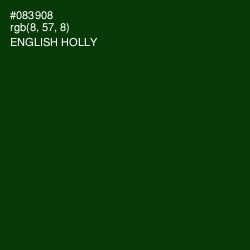 #083908 - English Holly Color Image